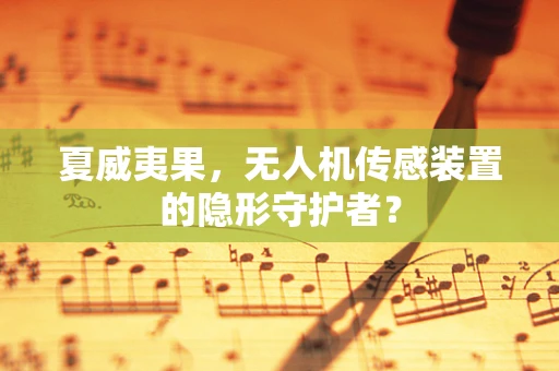 夏威夷果，无人机传感装置的隐形守护者？