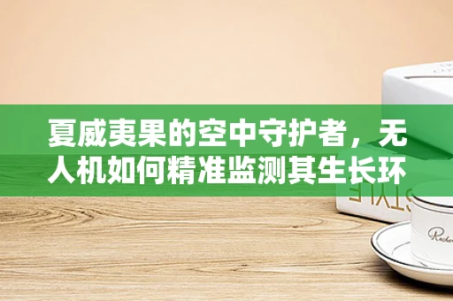 夏威夷果的空中守护者，无人机如何精准监测其生长环境？