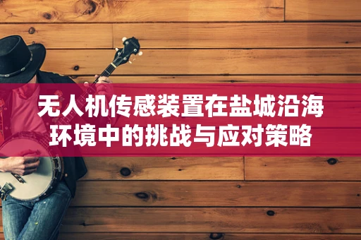 无人机传感装置在盐城沿海环境中的挑战与应对策略