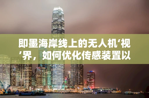 即墨海岸线上的无人机‘视’界，如何优化传感装置以提升环境监测精度？