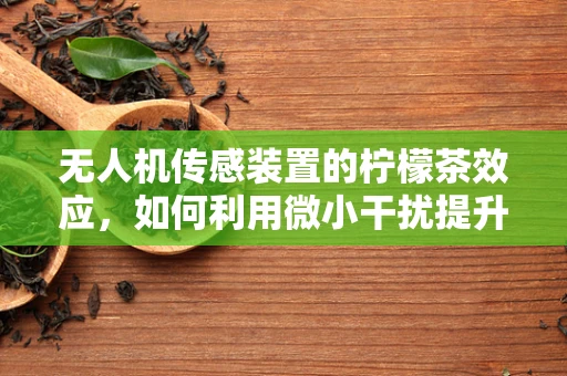 无人机传感装置的柠檬茶效应，如何利用微小干扰提升飞行稳定性？
