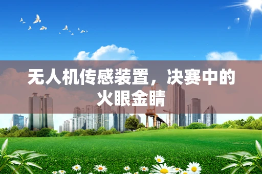 无人机传感装置，决赛中的火眼金睛