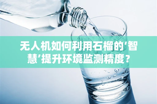无人机如何利用石榴的‘智慧’提升环境监测精度？