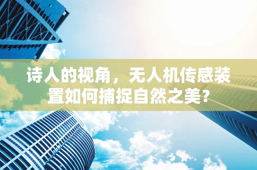 诗人的视角，无人机传感装置如何捕捉自然之美？