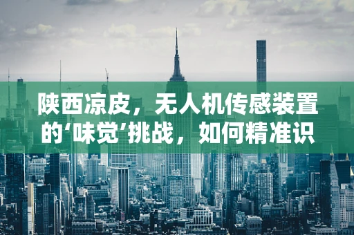 陕西凉皮，无人机传感装置的‘味觉’挑战，如何精准识别‘酸辣’环境？