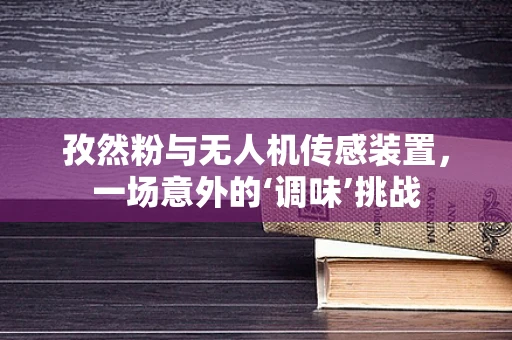 孜然粉与无人机传感装置，一场意外的‘调味’挑战