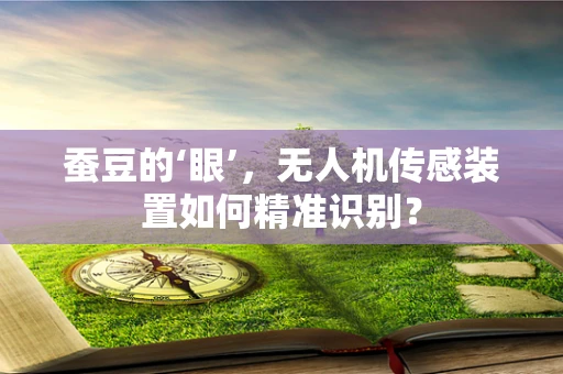 蚕豆的‘眼’，无人机传感装置如何精准识别？