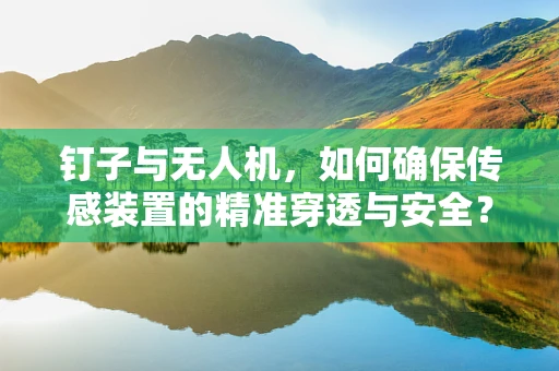 钉子与无人机，如何确保传感装置的精准穿透与安全？