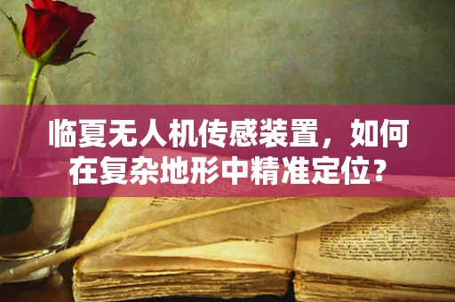 临夏无人机传感装置，如何在复杂地形中精准定位？