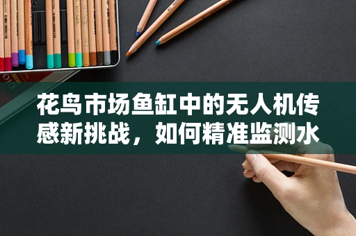 花鸟市场鱼缸中的无人机传感新挑战，如何精准监测水体质量？