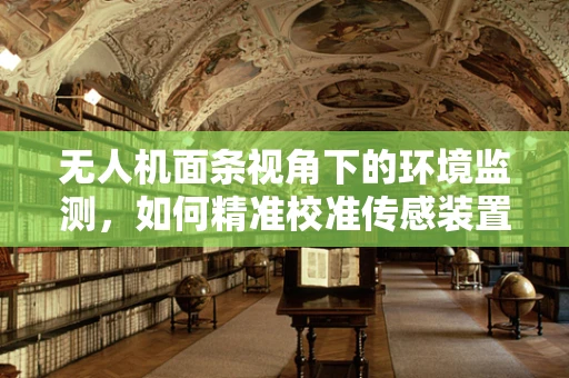 无人机面条视角下的环境监测，如何精准校准传感装置？