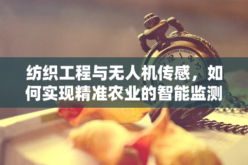 纺织工程与无人机传感，如何实现精准农业的智能监测？