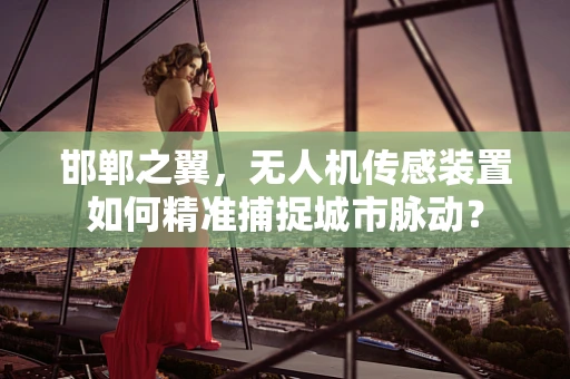 邯郸之翼，无人机传感装置如何精准捕捉城市脉动？