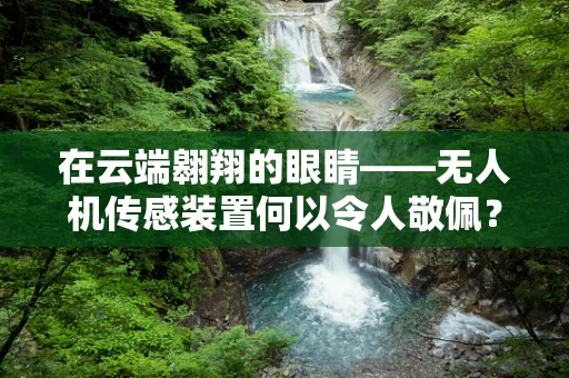 在云端翱翔的眼睛——无人机传感装置何以令人敬佩？