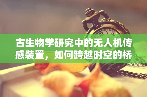 古生物学研究中的无人机传感装置，如何跨越时空的桥梁？