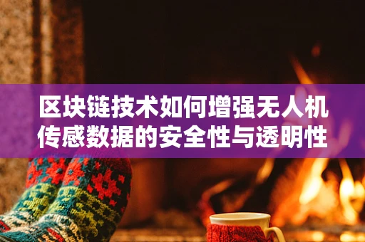 区块链技术如何增强无人机传感数据的安全性与透明性？