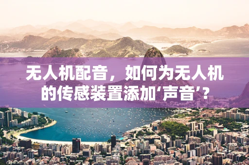 无人机配音，如何为无人机的传感装置添加‘声音’？