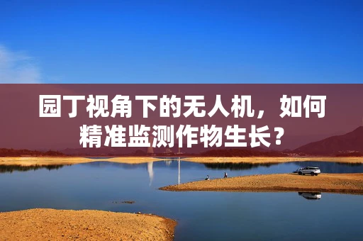 园丁视角下的无人机，如何精准监测作物生长？