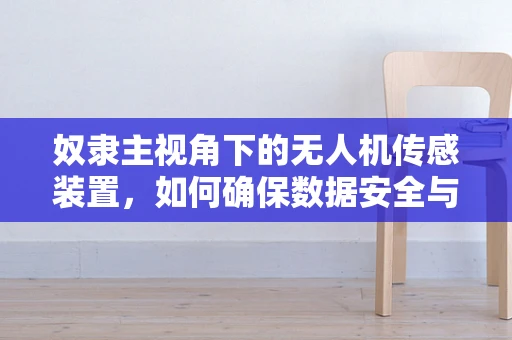 奴隶主视角下的无人机传感装置，如何确保数据安全与隐私？