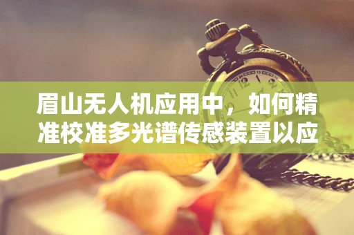眉山无人机应用中，如何精准校准多光谱传感装置以应对复杂地形挑战？