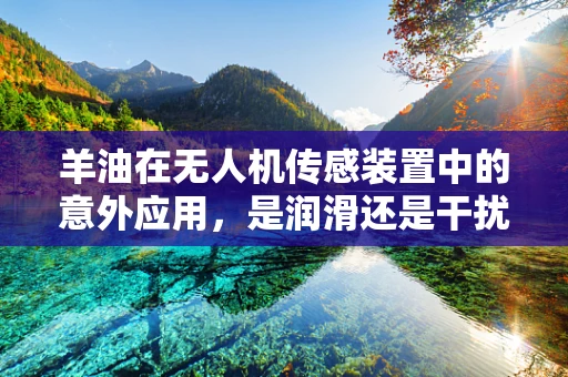 羊油在无人机传感装置中的意外应用，是润滑还是干扰？