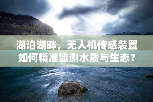 湖泊湖畔，无人机传感装置如何精准监测水质与生态？