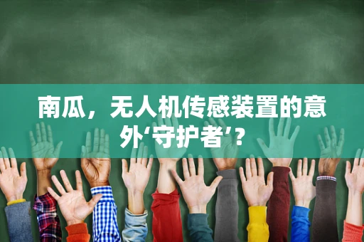 南瓜，无人机传感装置的意外‘守护者’？