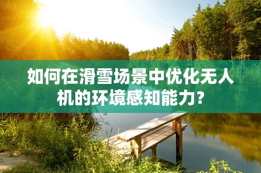 如何在滑雪场景中优化无人机的环境感知能力？