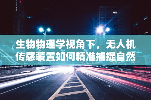 生物物理学视角下，无人机传感装置如何精准捕捉自然界的微妙变化？