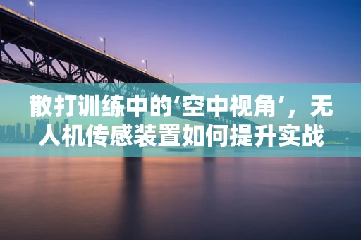 散打训练中的‘空中视角’，无人机传感装置如何提升实战效果？
