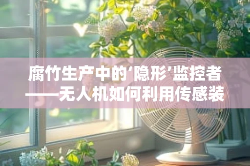 腐竹生产中的‘隐形’监控者——无人机如何利用传感装置精准监测？