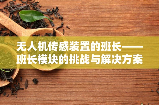 无人机传感装置的班长——班长模块的挑战与解决方案