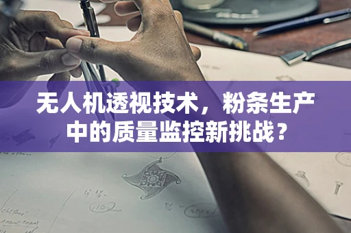 无人机透视技术，粉条生产中的质量监控新挑战？