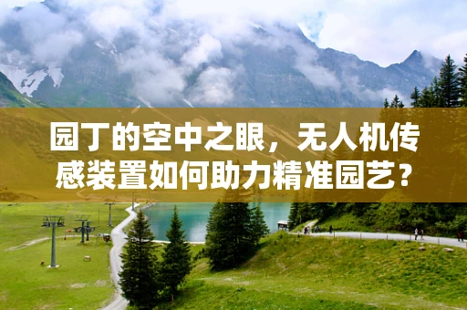 园丁的空中之眼，无人机传感装置如何助力精准园艺？