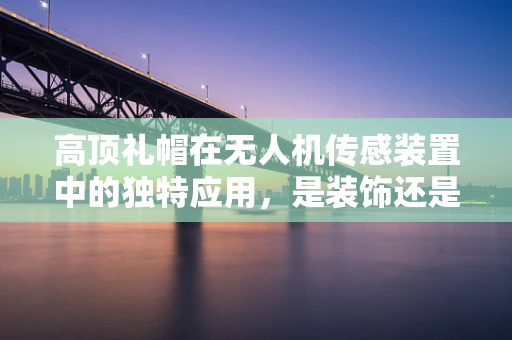 高顶礼帽在无人机传感装置中的独特应用，是装饰还是技术革新？