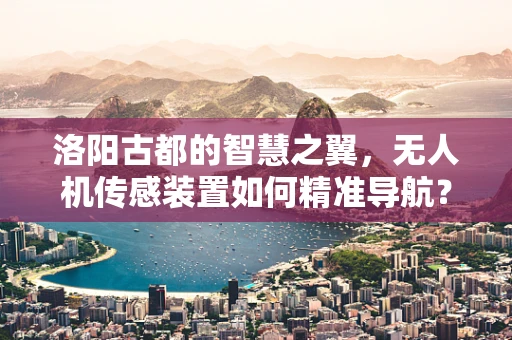 洛阳古都的智慧之翼，无人机传感装置如何精准导航？