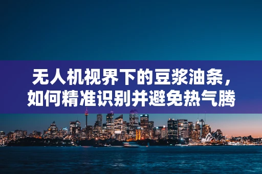 无人机视界下的豆浆油条，如何精准识别并避免热气腾腾的挑战？