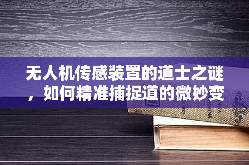 无人机传感装置的道士之谜，如何精准捕捉道的微妙变化？