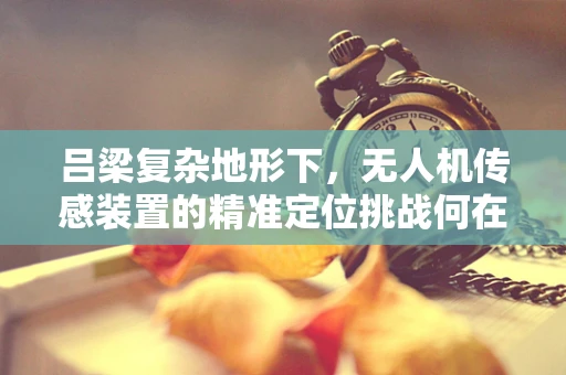 吕梁复杂地形下，无人机传感装置的精准定位挑战何在？