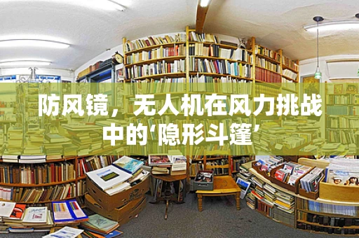 防风镜，无人机在风力挑战中的‘隐形斗篷’