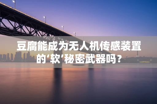 豆腐能成为无人机传感装置的‘软’秘密武器吗？