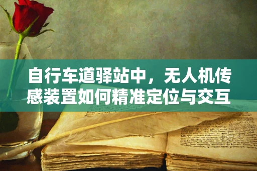 自行车道驿站中，无人机传感装置如何精准定位与交互？