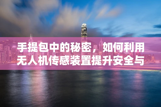 手提包中的秘密，如何利用无人机传感装置提升安全与隐私保护？