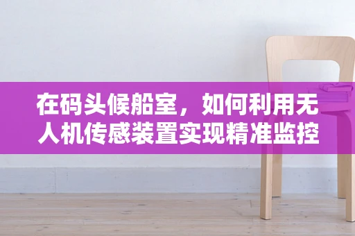 在码头候船室，如何利用无人机传感装置实现精准监控？