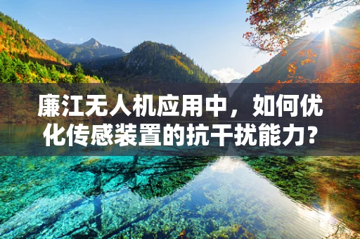 廉江无人机应用中，如何优化传感装置的抗干扰能力？