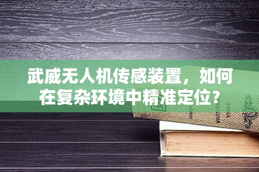 武威无人机传感装置，如何在复杂环境中精准定位？