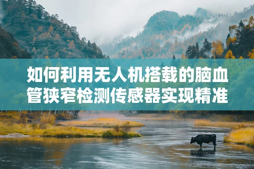 如何利用无人机搭载的脑血管狭窄检测传感器实现精准诊断？