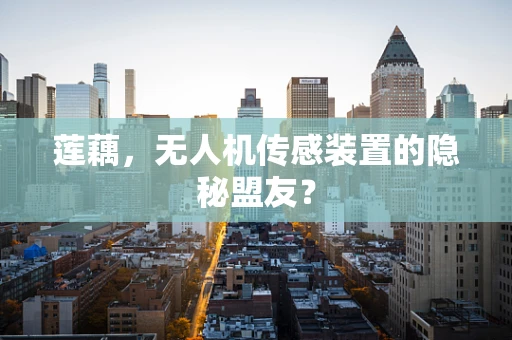 莲藕，无人机传感装置的隐秘盟友？