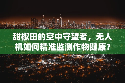 甜椒田的空中守望者，无人机如何精准监测作物健康？