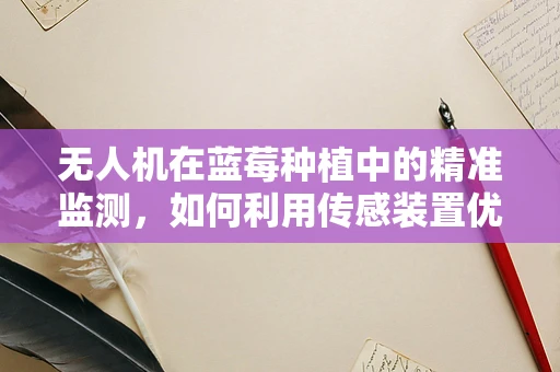 无人机在蓝莓种植中的精准监测，如何利用传感装置优化蓝莓产量？